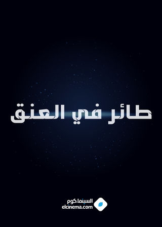 طائر في العنق