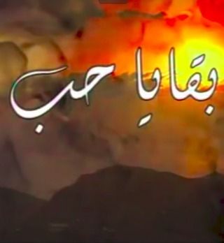 بقايا حب