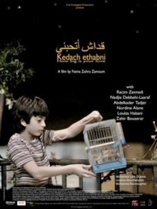 قداش أتحبني
