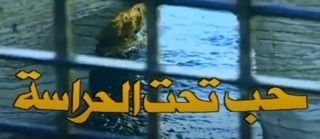 حب تحت الحراسة