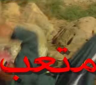 متعب