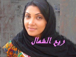 ريح الشمال ج3