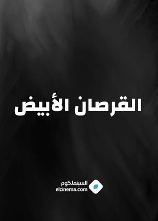 القرصان الأبيض