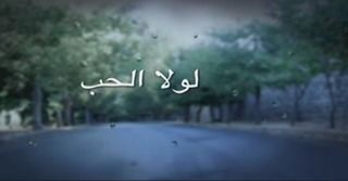 لولا الحب