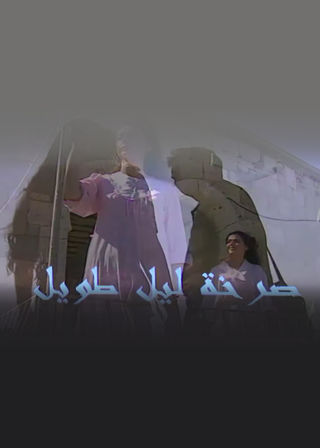 صرخة ليل طويل