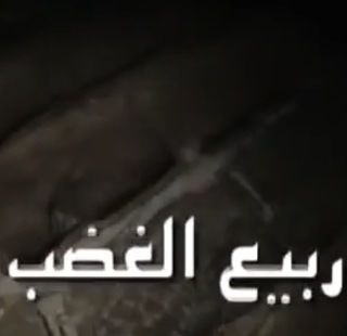 ربيع الغضب