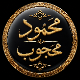 محمود محجوب